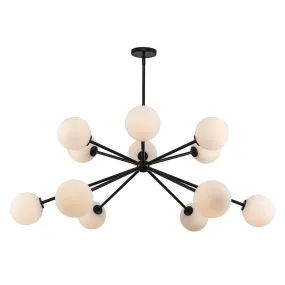 12 Light Chandelier