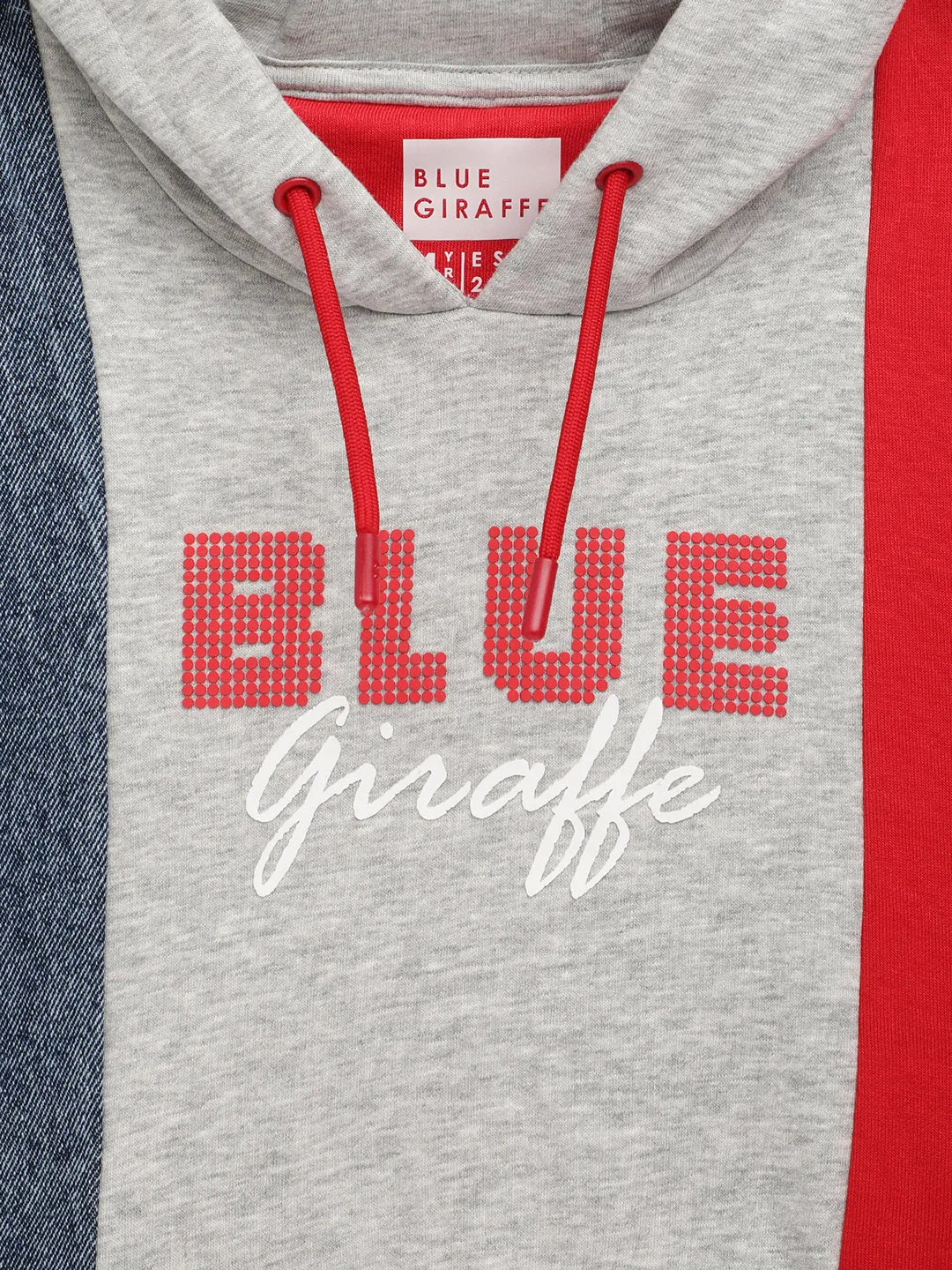 Blue Giraffe Boys Grey Solid Round Neck Sweatshirt