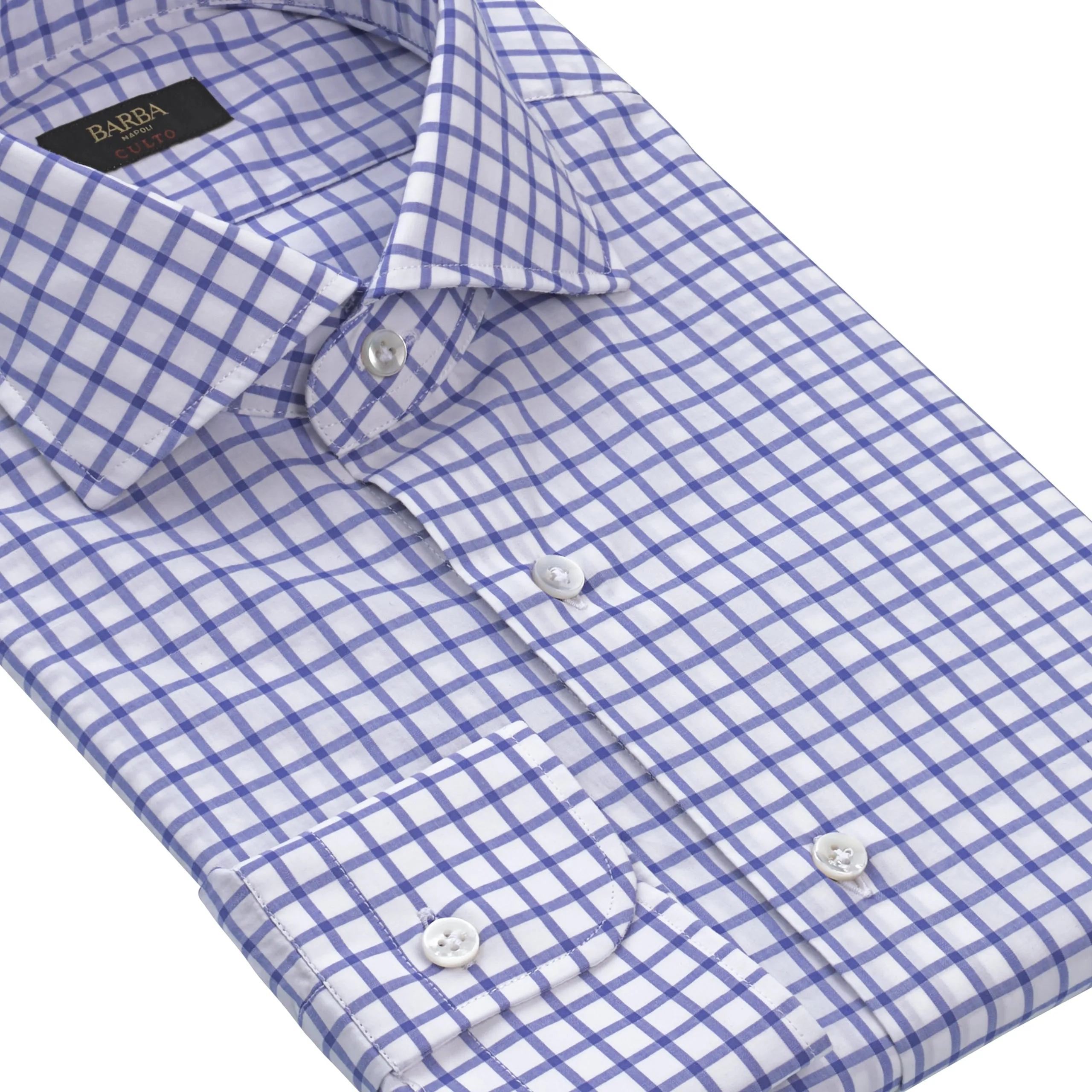 Checked Cotton Shirt in White and Blue